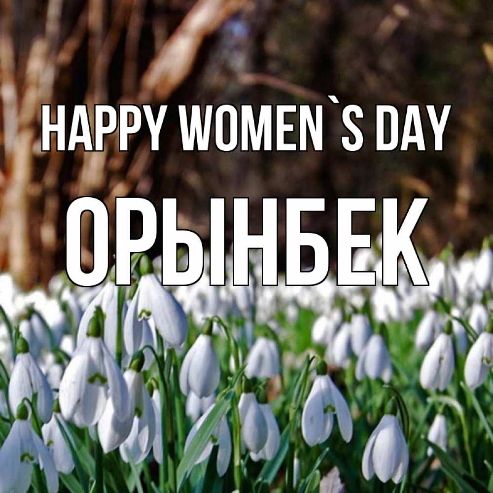 Greetings card с именем, ОРЫНБЕК happy women`s day с подснежниками 1 Greetings with text for free download 